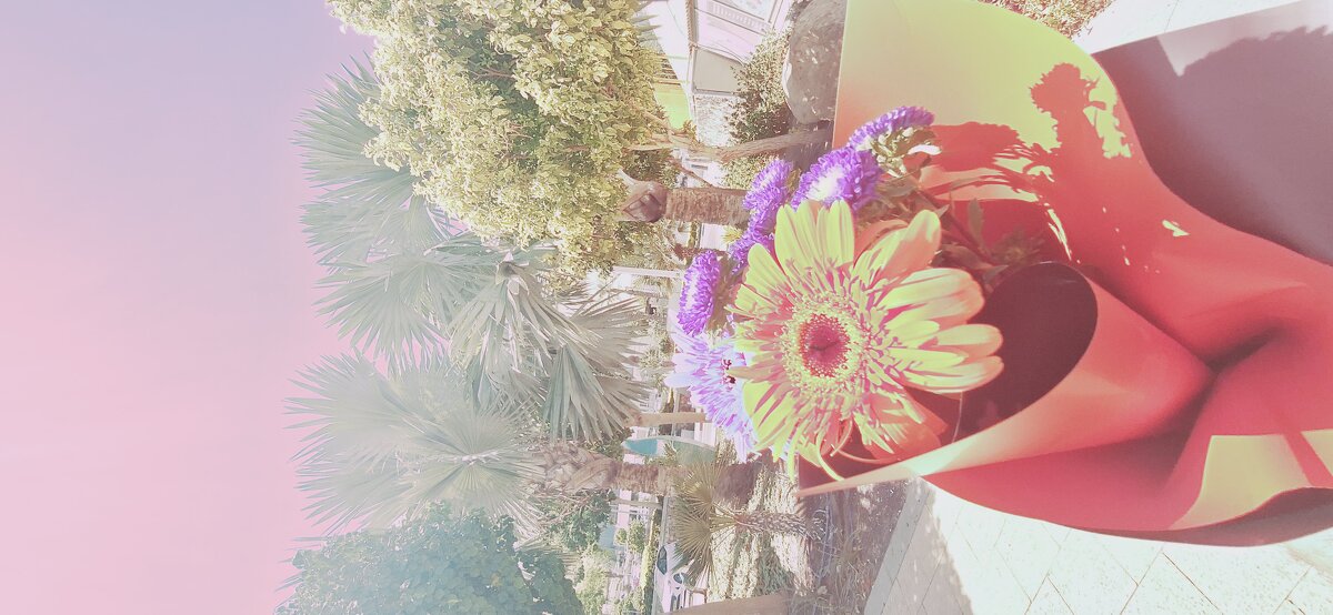 13  ОПЕН (162) - OPEN WAYS ALL