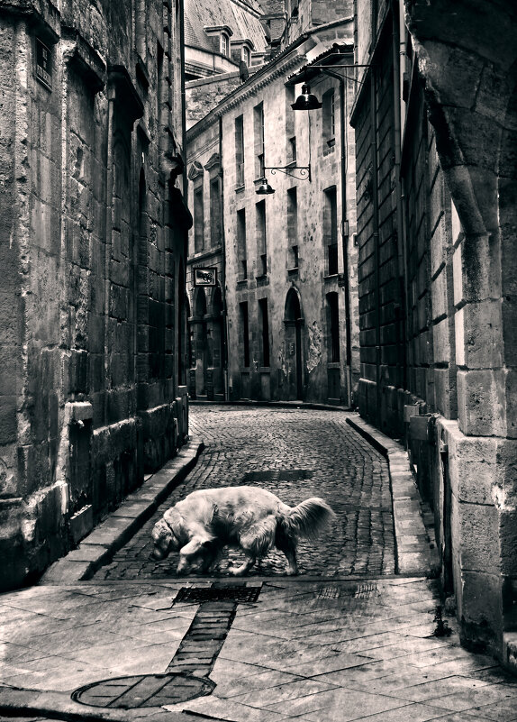 Средневековая улочка - СЮ Средневековая улочка - СЮ