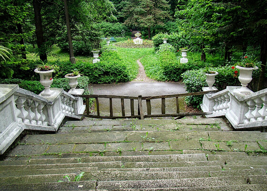 Вид на сад для больных,,,, - Анатолий Колосов