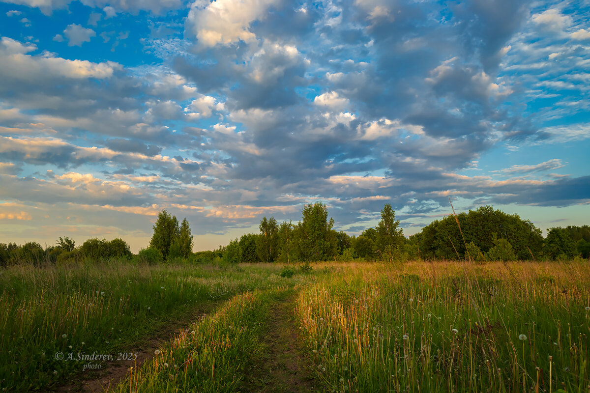 Вечерняя дорога в поле - Александр Синдерёв
