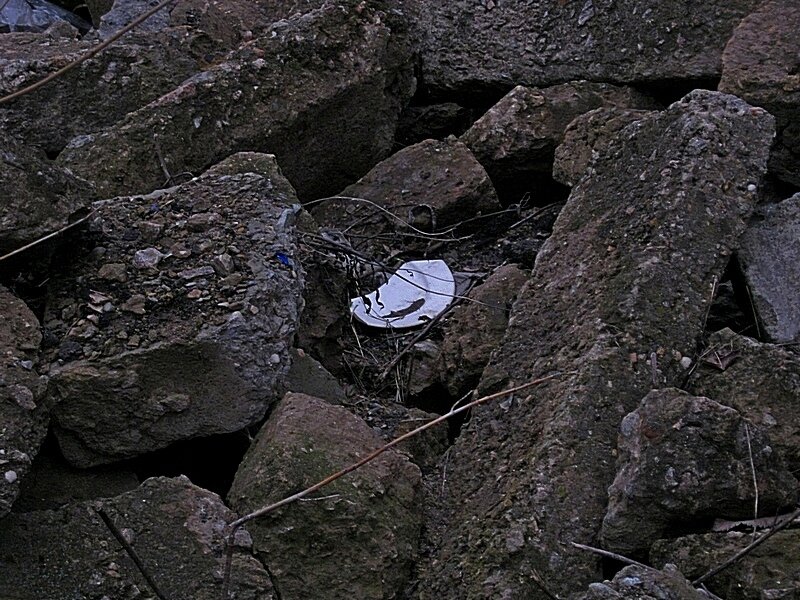 . - Александр Хоменко