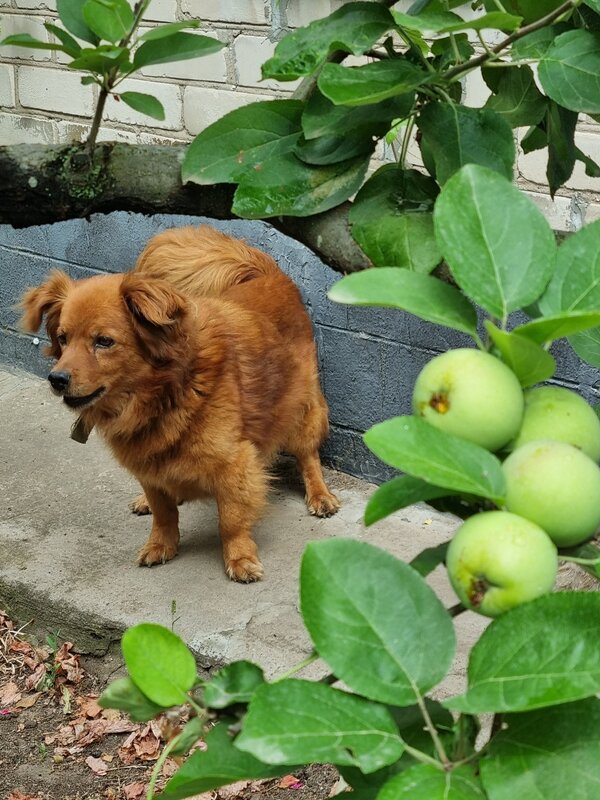 Внимание! - Наталья 