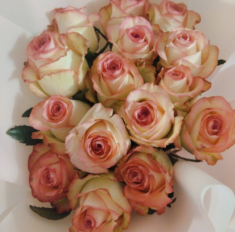 Как хороши, как свежи были розы...(с) - Галина Бобкина