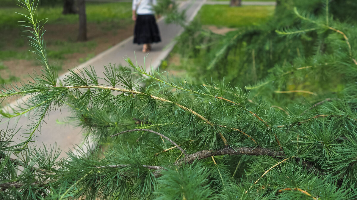 Природа в Городе - юрий поляков