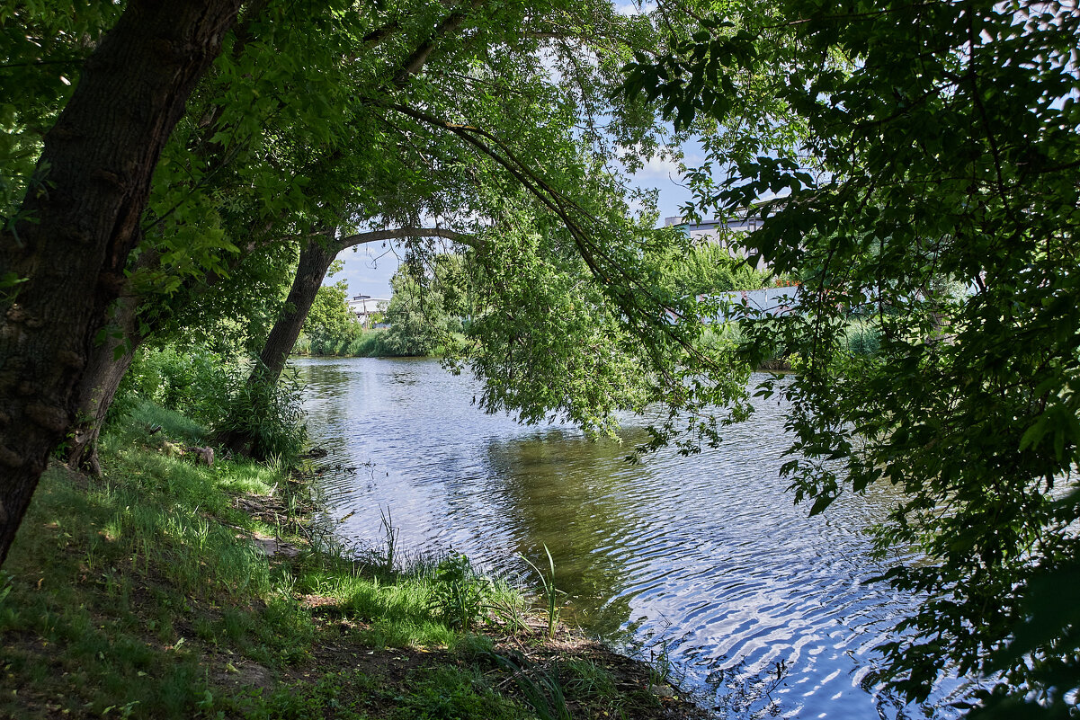 лето на улице лето - Александр Леонов
