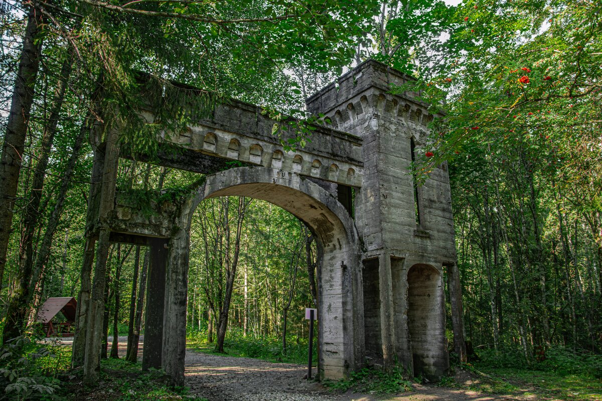 Усадьба Заветное: жемчужина затерянная в густом лесу - Александр Филатов Усадьба Заветное: жемчужина затерянная в густом лесу - Александр Филатов