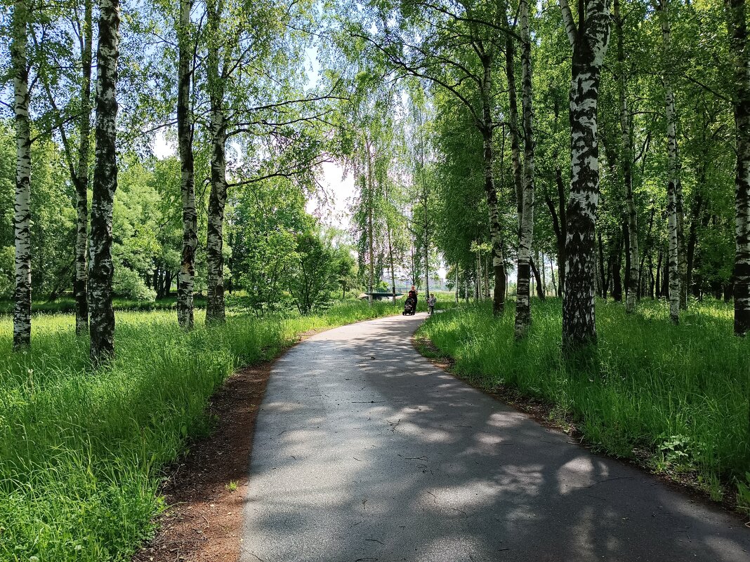 Летом в парке - Мария Васильева Летом в парке - Мария Васильева