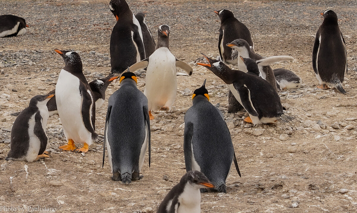 Дискуссия... - Владимир Жданов Дискуссия... - Владимир Жданов