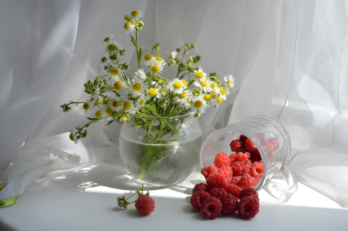 Солнечные зайчики... - Надежда Куркина 