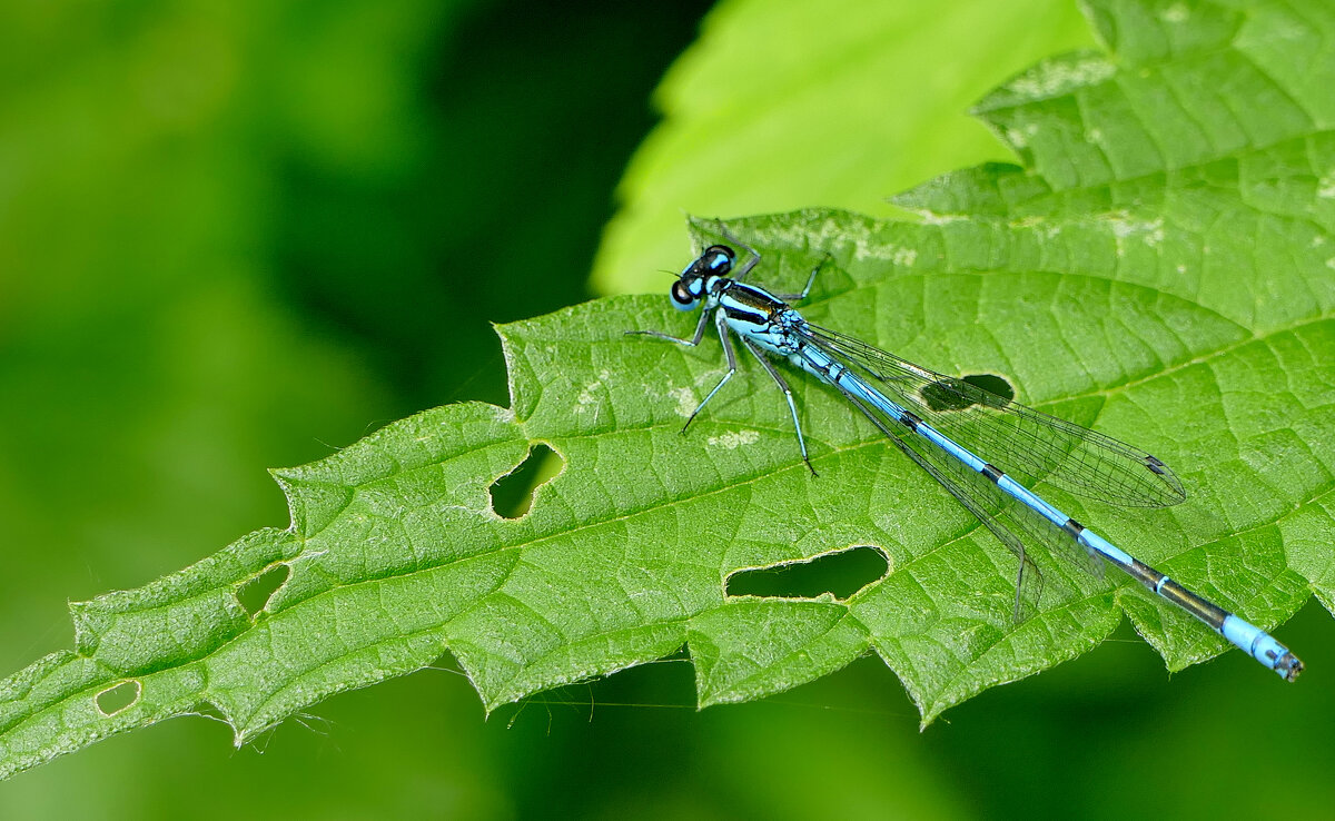 из снятого вчера 1 - Александр Прокудин