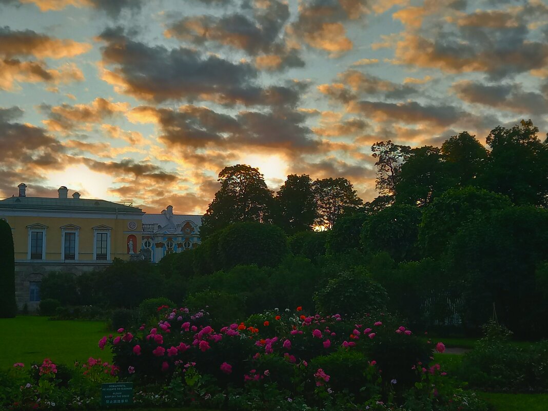 Закат - Сапсан 