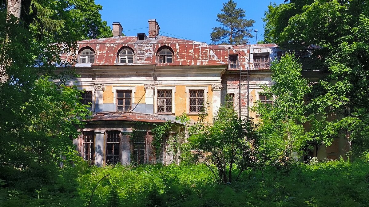 Усадьба Воронцовой - Дашковой. - Ольга 