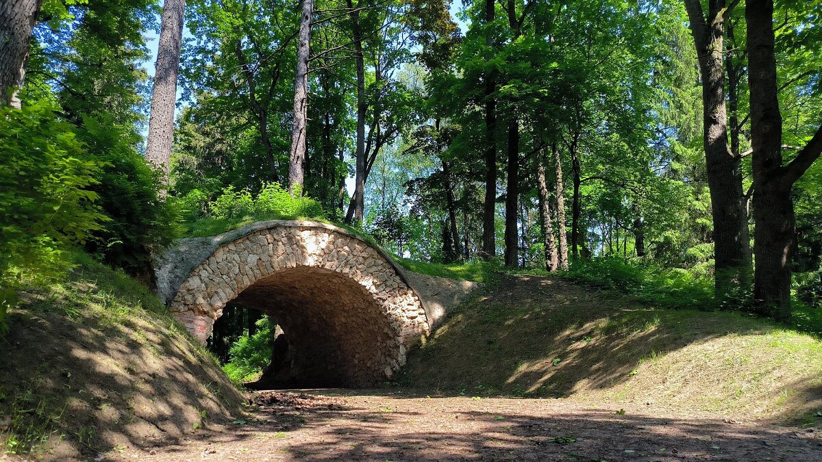 В Шуваловском парке. - Ольга 