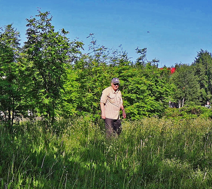 Утро на зеленой лужайке! - Владимир 