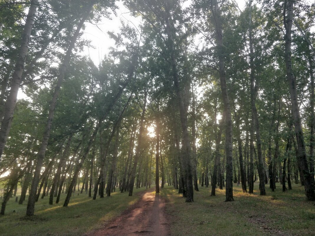 Вечер - Андрей Хлопонин