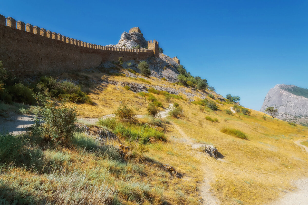 *** - Сергей Лысенко