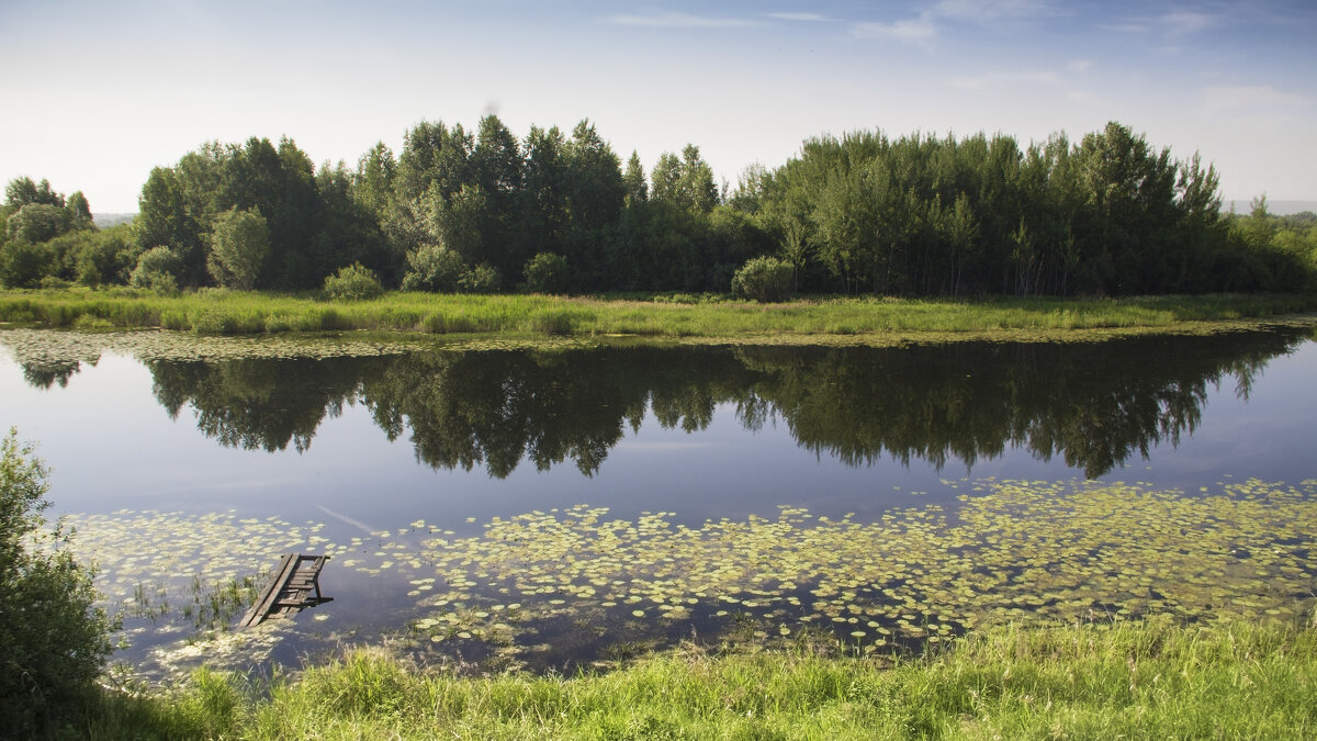 Живописная старица - Владимир Кириченко