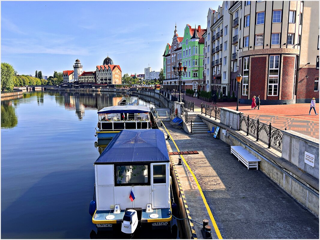 Лето. Утро на Преголе. - Валерия Комова Лето. Утро на Преголе. - Валерия Комова
