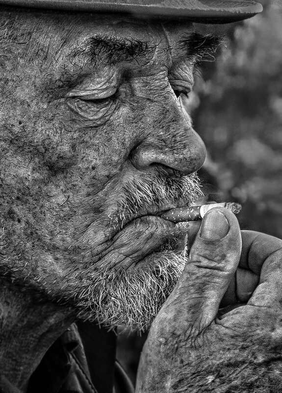 Дед. - александр 