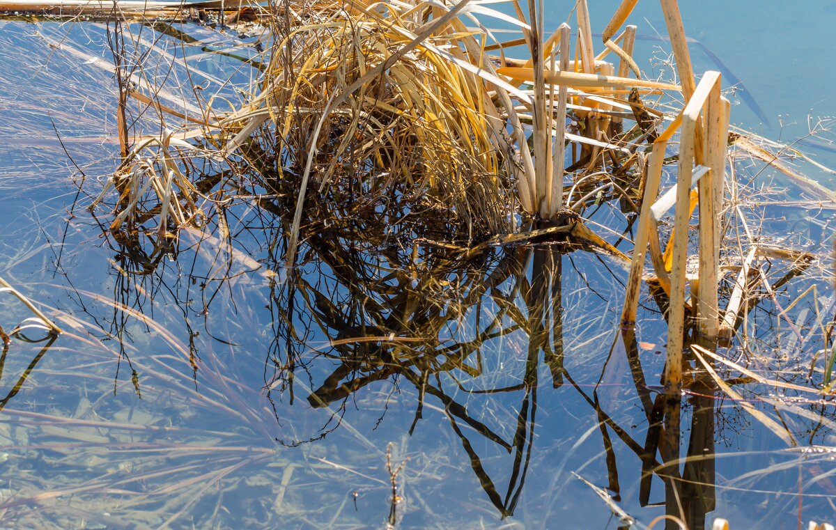 Свет, цвет и тень. - Алексей Трухин