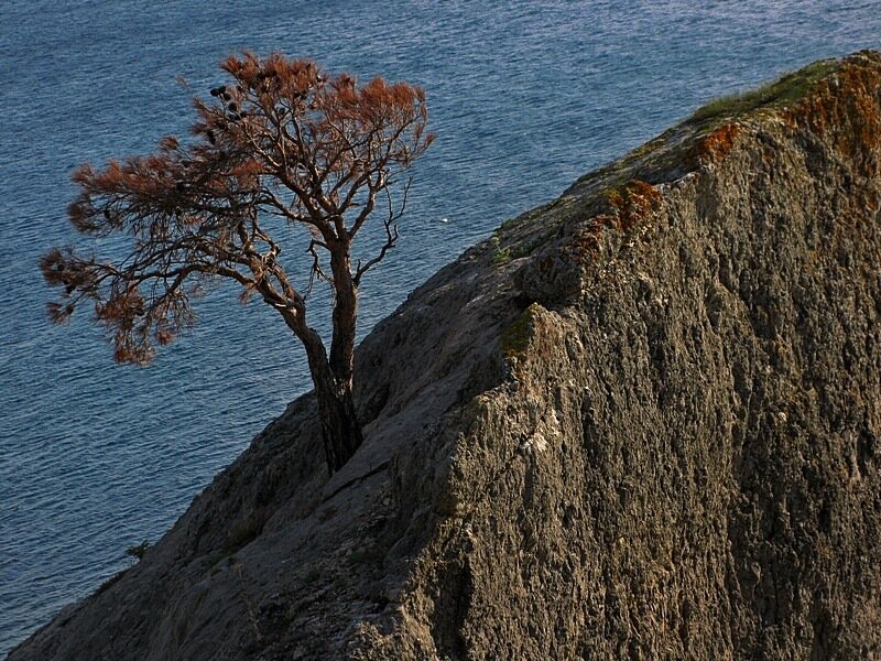 . - Александр Хоменко