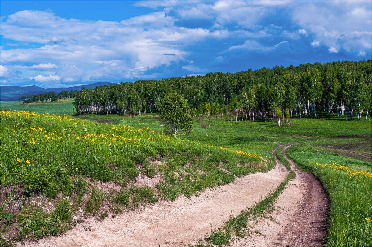 Дорогами лета - Алексей Мезенцев