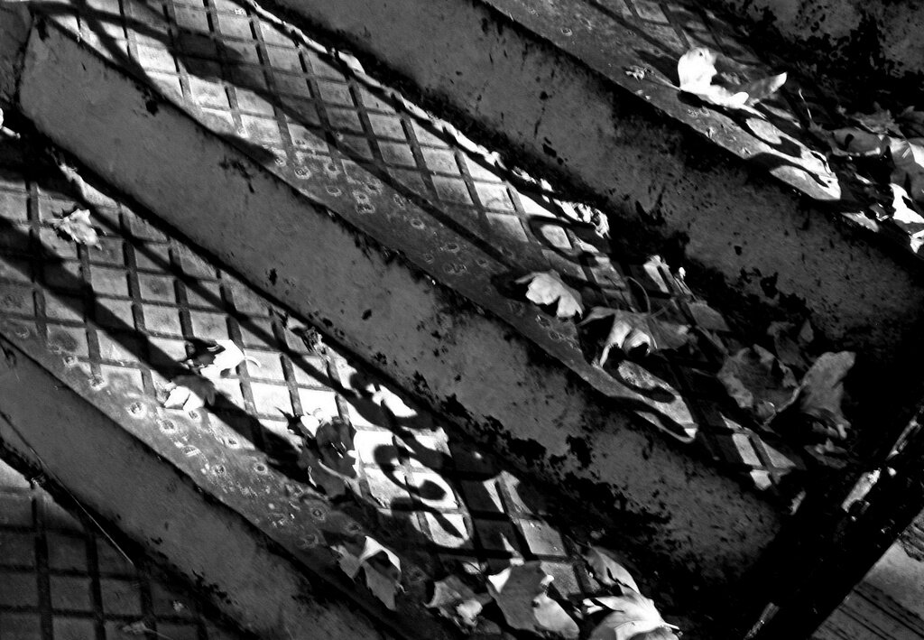 . - Александр Хоменко