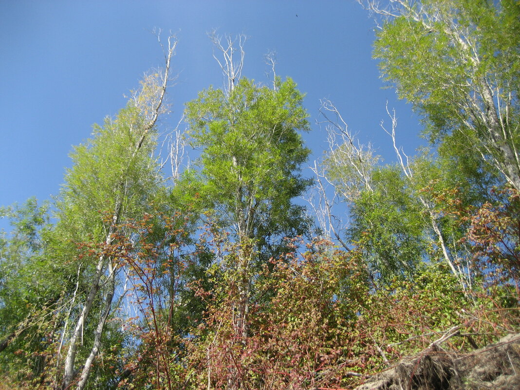 У протоки - Anna Ivanova