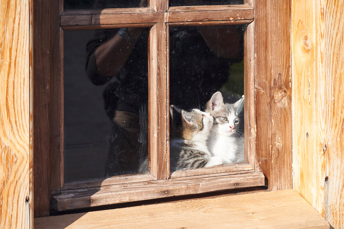 По секрету на ушко - Инна Драбкина По секрету на ушко - Инна Драбкина