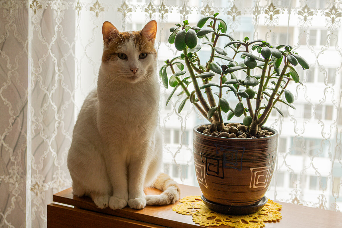 На посту! - Ирина Соловьёва