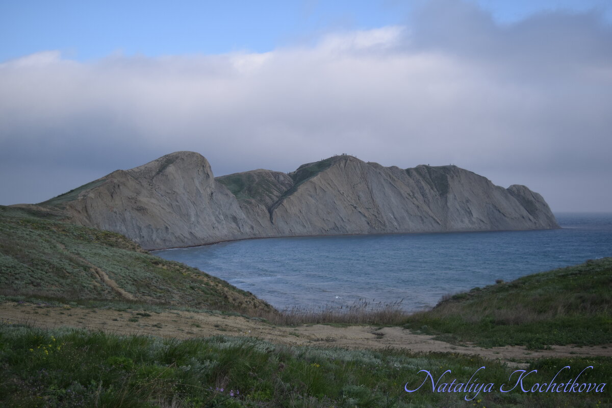 Природа Крыма - Amazing Cosmea Природа Крыма - Amazing Cosmea
