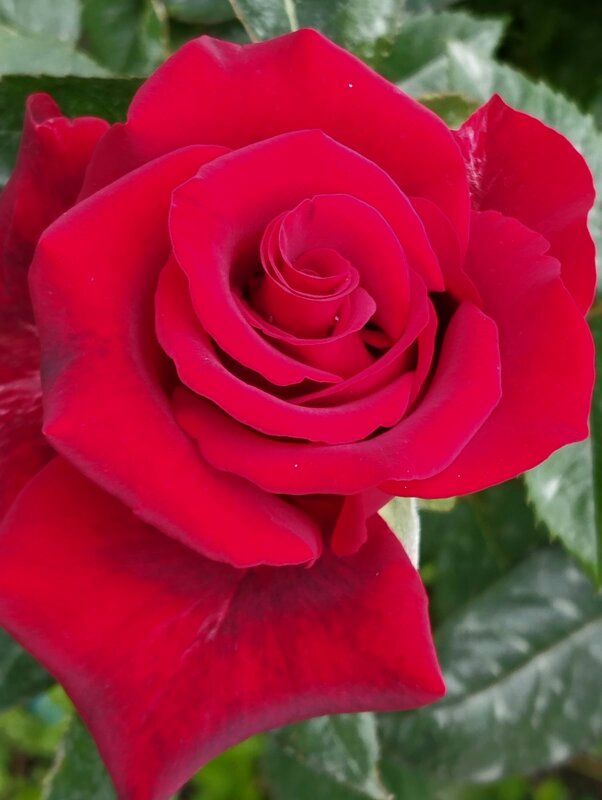 Talgar. - Murat Bukaev 