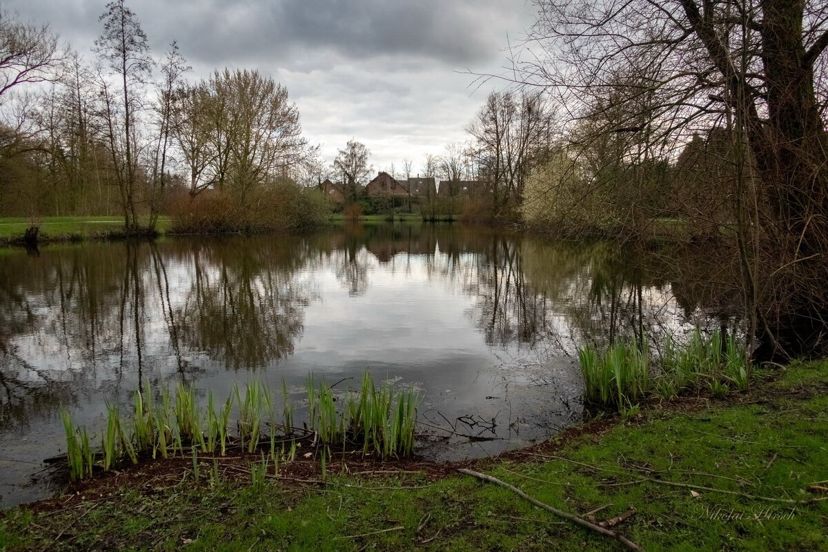 Мартовский пейзаж... - Николай Гирш