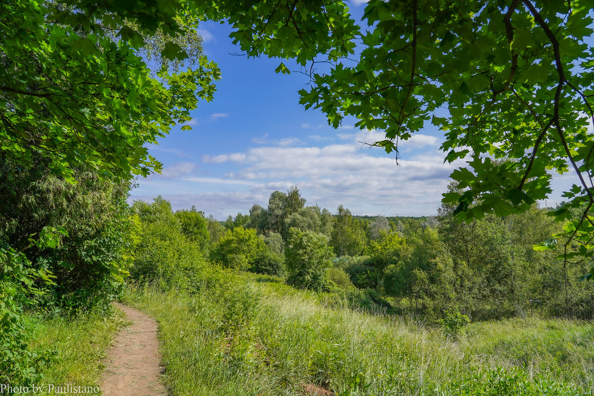 Палитра июня... - Владимир Жданов Палитра июня... - Владимир Жданов