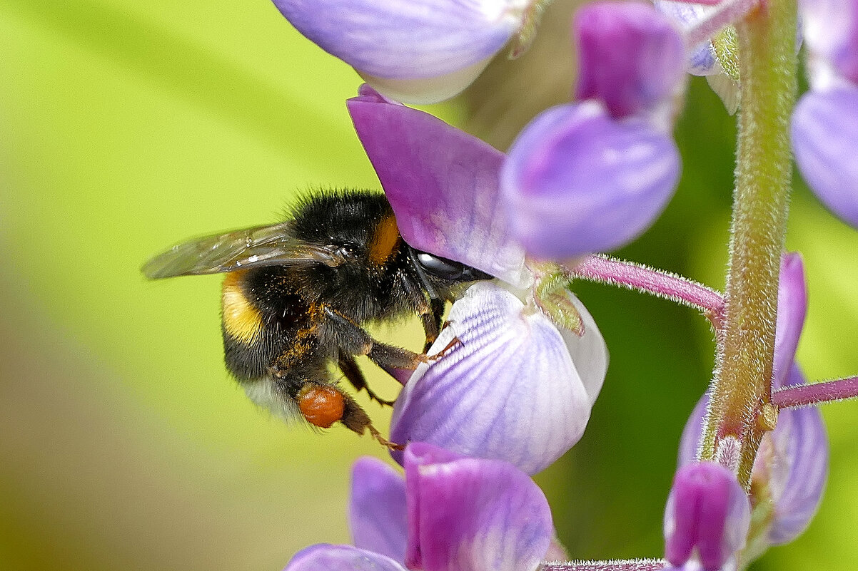 из снятого позавчера 2 - Александр Прокудин