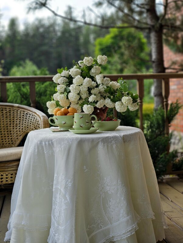 Дачные посиделки. - Галина Левина