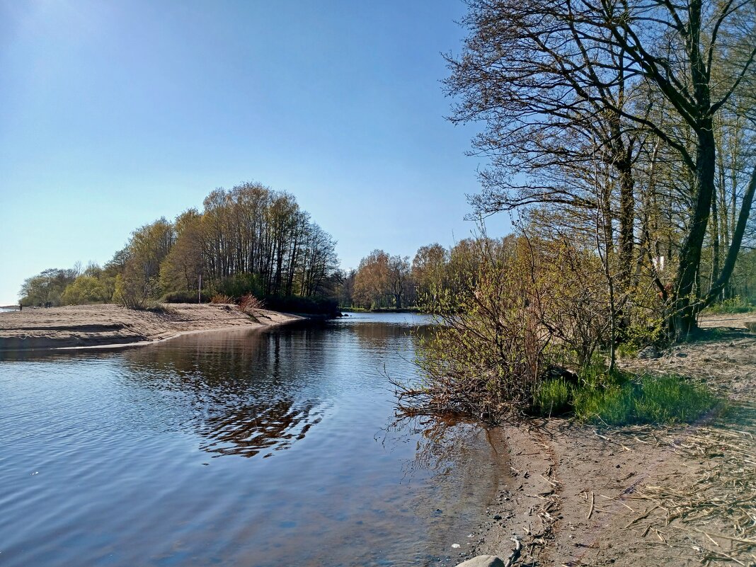 Весенняя чистота. - Лия ☼ Весенняя чистота. - Лия ☼