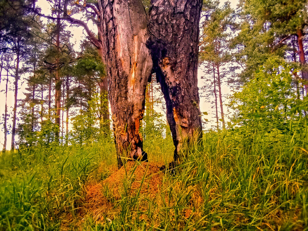 ** - Сергей Кочнев