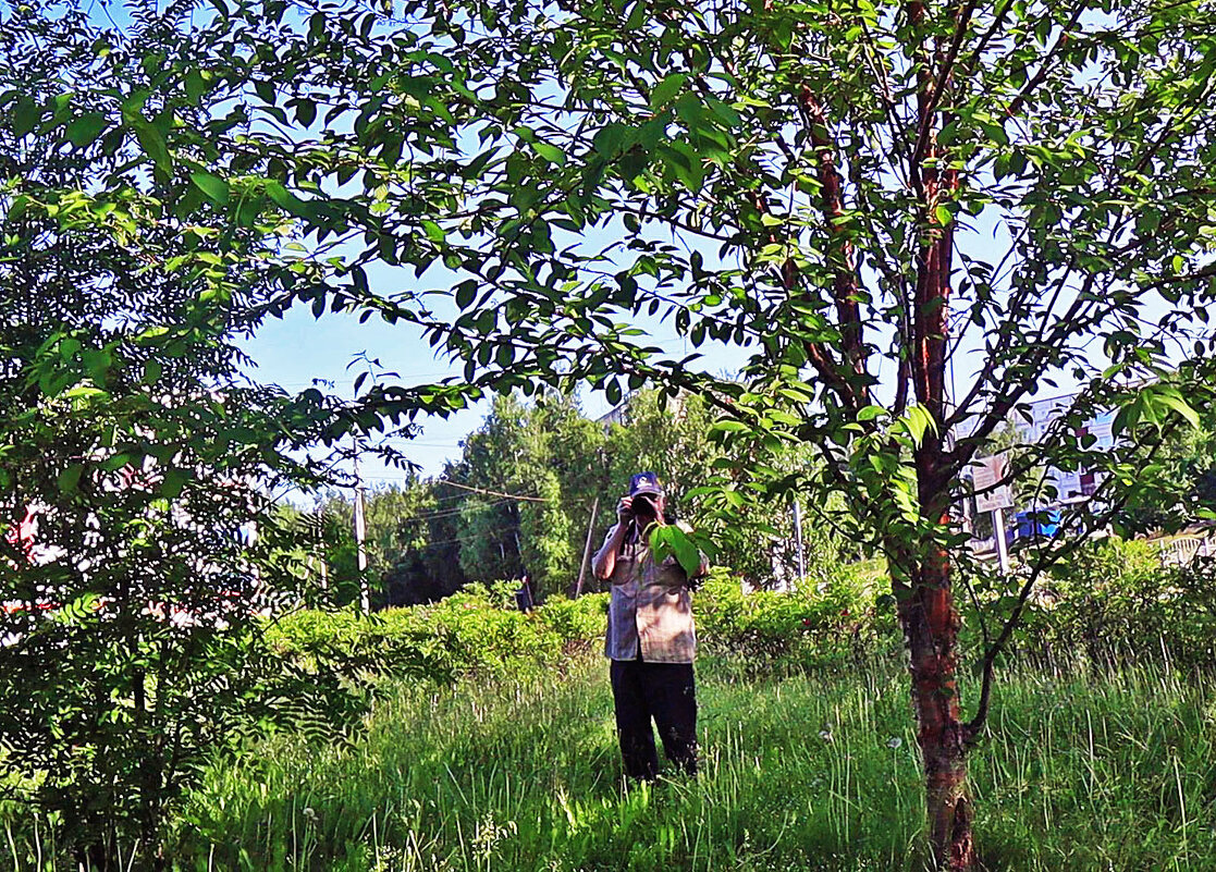 Июнь...Утро фотографа! - Владимир 