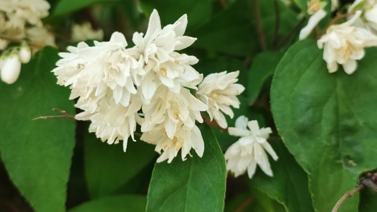 ,,, - Сергей Тимоновский