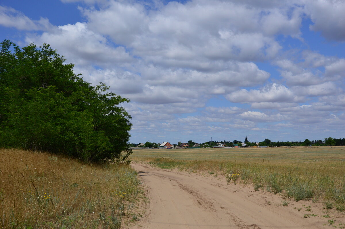 Мои дороги. - Виктор 