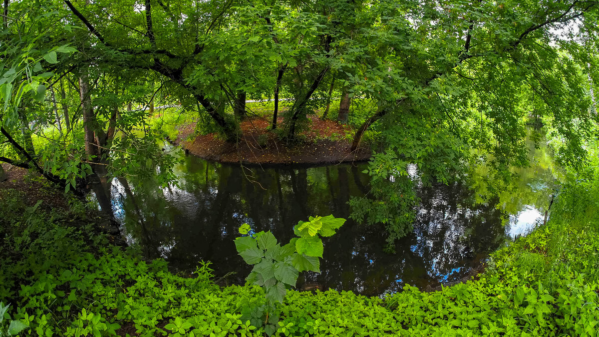 ***** - юрий поляков