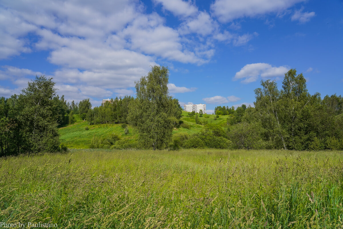 Палитра июня... - Владимир Жданов