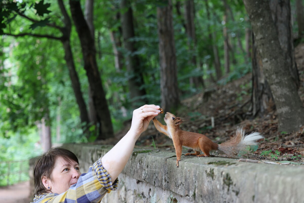 Да привет, привет!!! - Александр Кондаков Да привет, привет!!! - Александр Кондаков