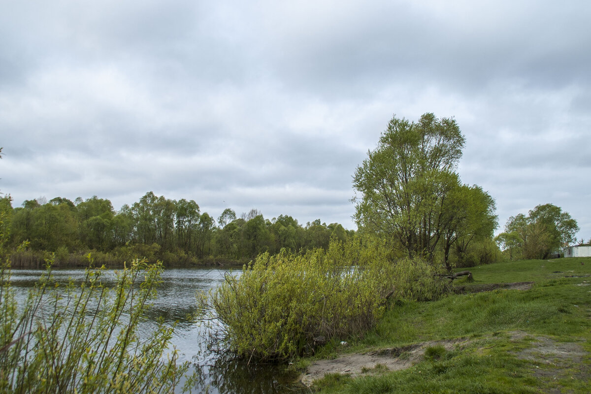 ... - Елена Пономарева