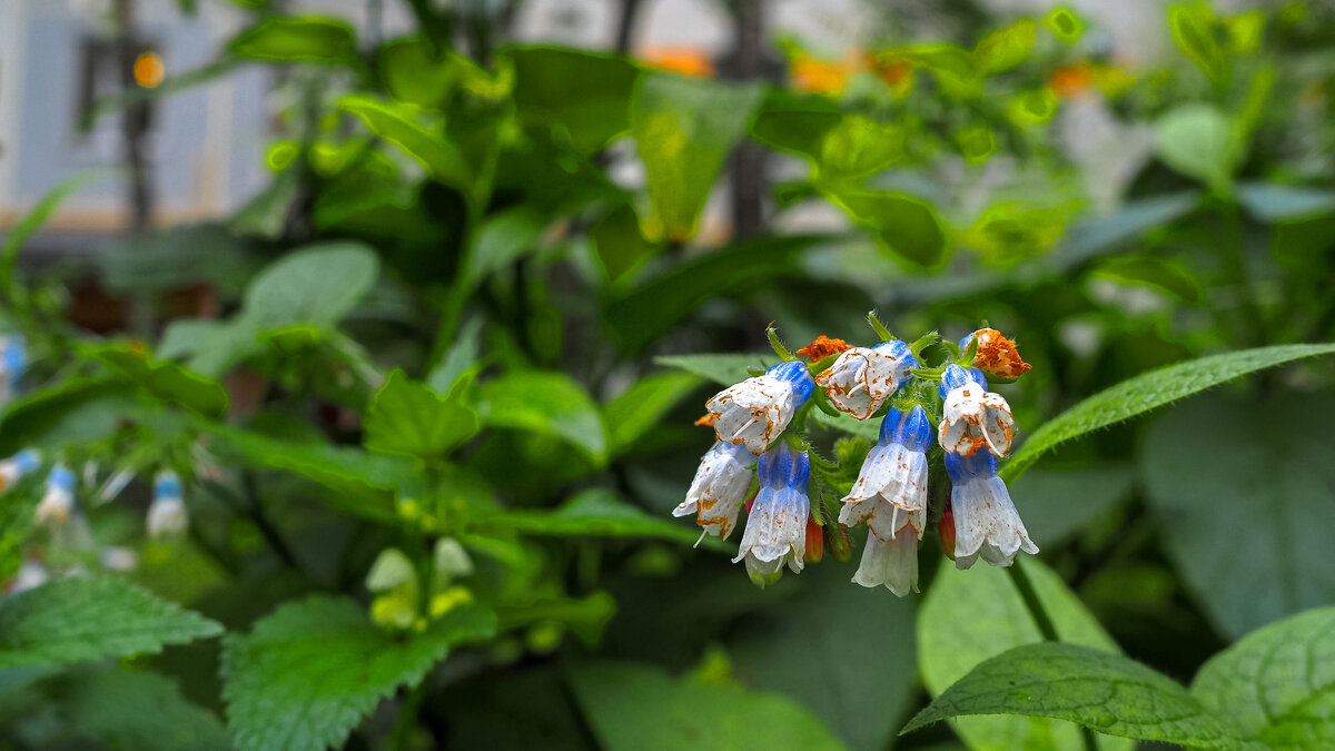 ***** - юрий поляков