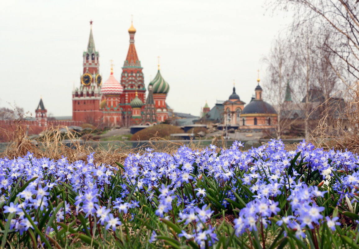 5 апреля в Зарядье - Михаил Бибичков