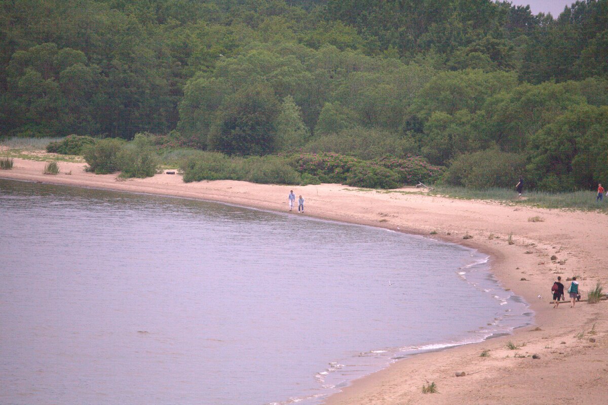 Остров Котлин - Танзиля Завьялова