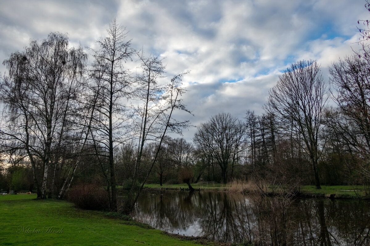 *** - Николай Гирш