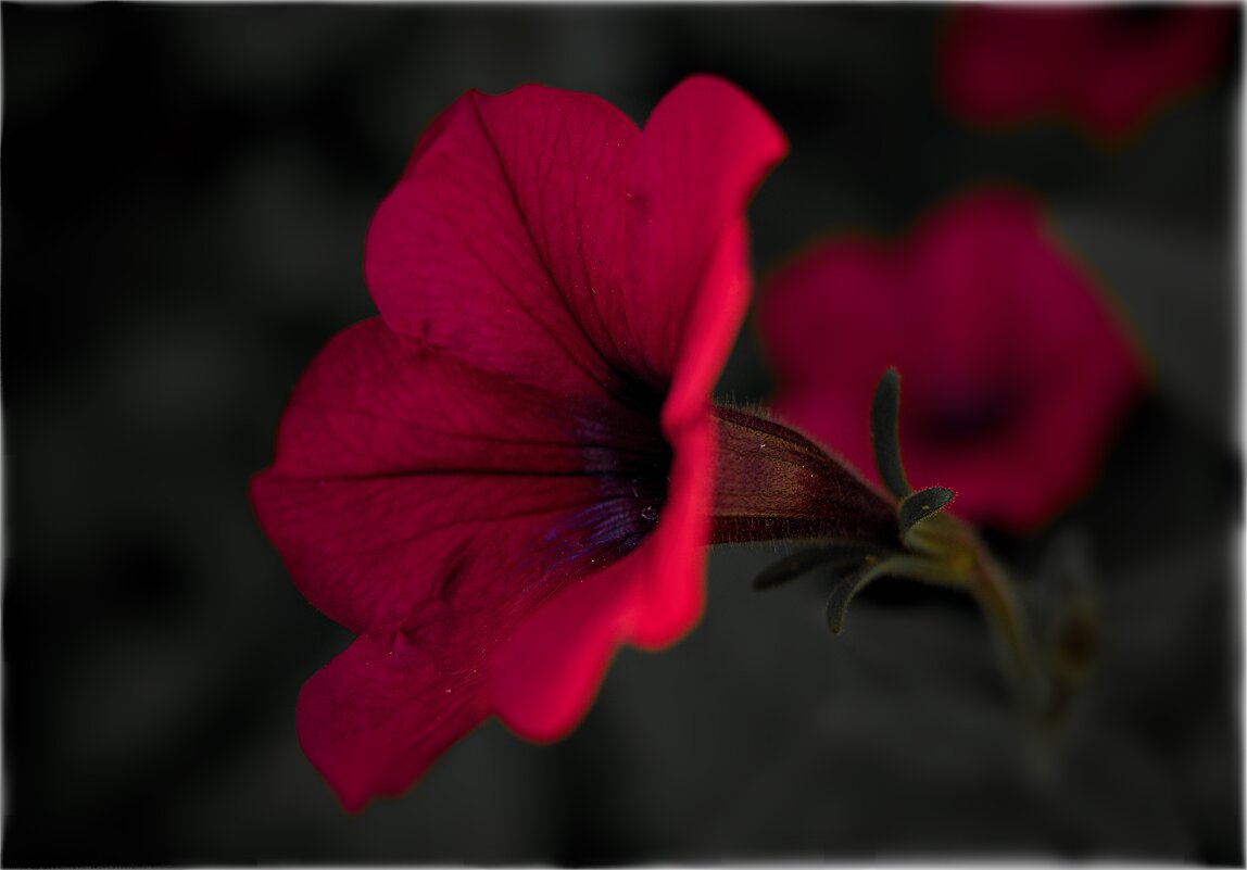 *** - Олег Алексеев